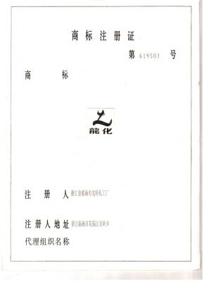 龙化商标注册证第619503号2012917-20221129-1